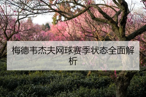 梅德韦杰夫网球赛季状态全面解析