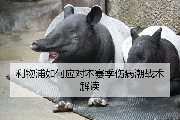利物浦如何应对本赛季伤病潮战术解读